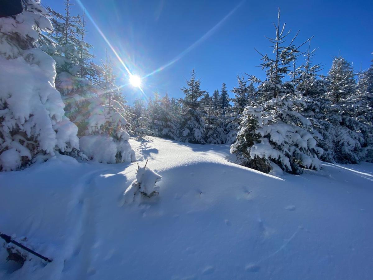 Top Fewo Mit Sommercard Winterberg Zewnętrze zdjęcie