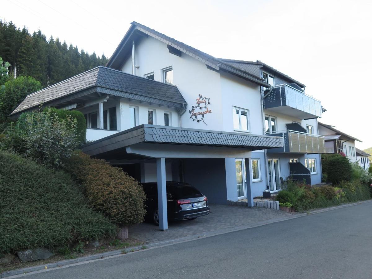 Top Fewo Mit Sommercard Winterberg Zewnętrze zdjęcie